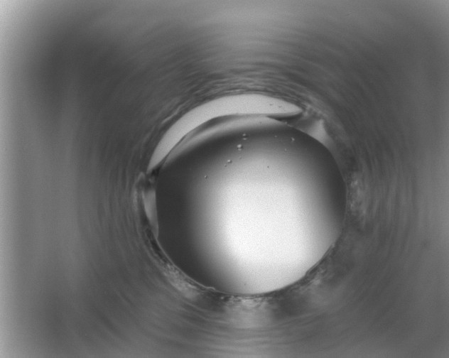 X0000066970329200604072037