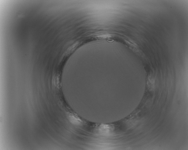 X0000066970330200604072037