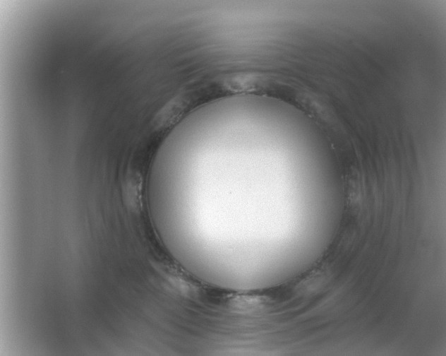 X0000066970332200604072037