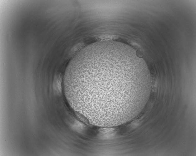 X0000066970334200604072037