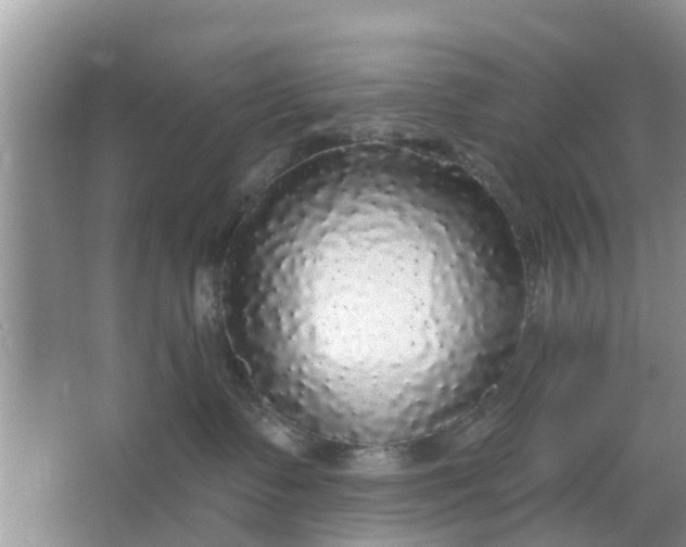 X0000066970335200604072037