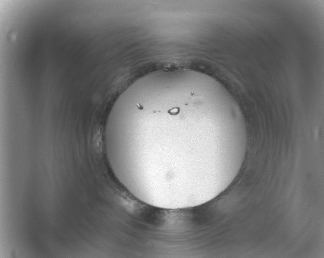 X0000066970336200604072037