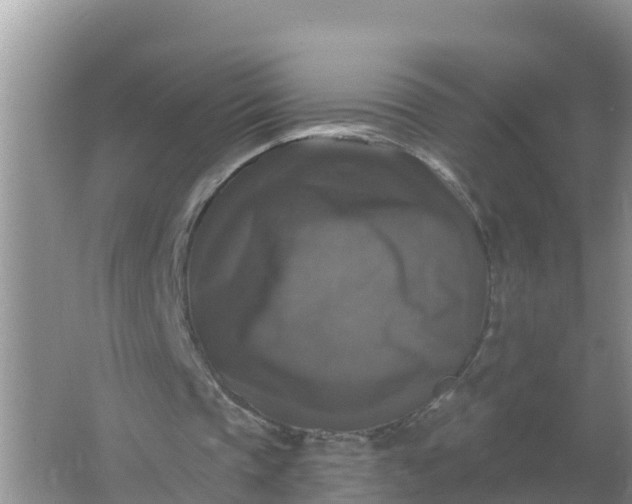 X0000066970337200604072036