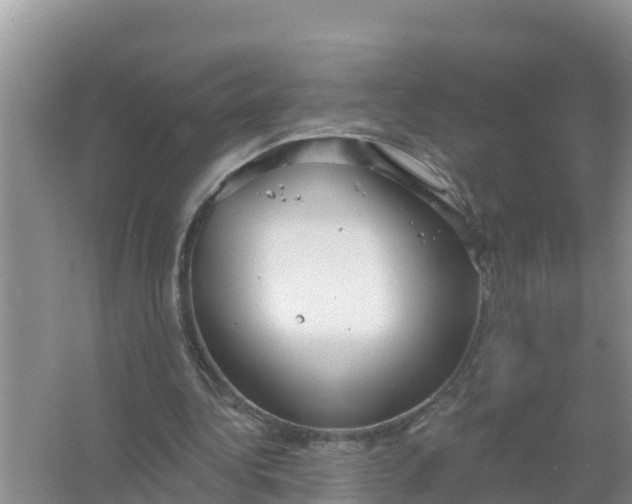 X0000066970340200604072036