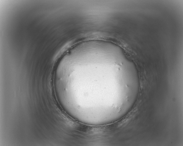 X0000066970341200604072036