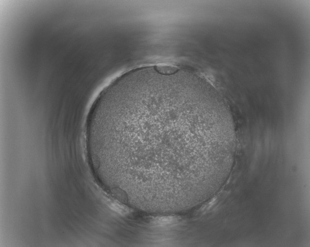 X0000066970342200604072036