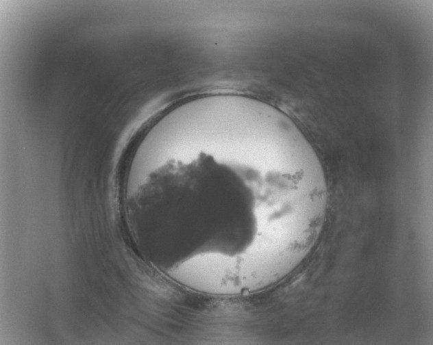 X0000066970343200604072036