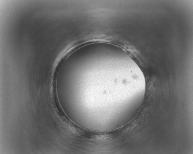 X0000066970344200604072036