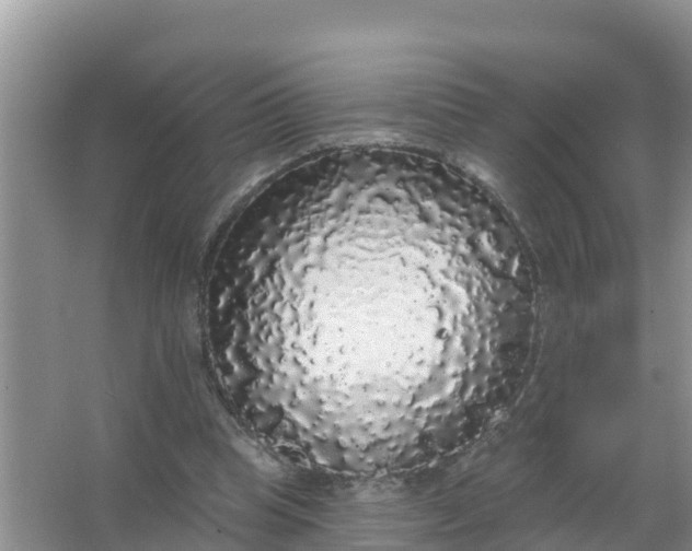 X0000066970345200604072036