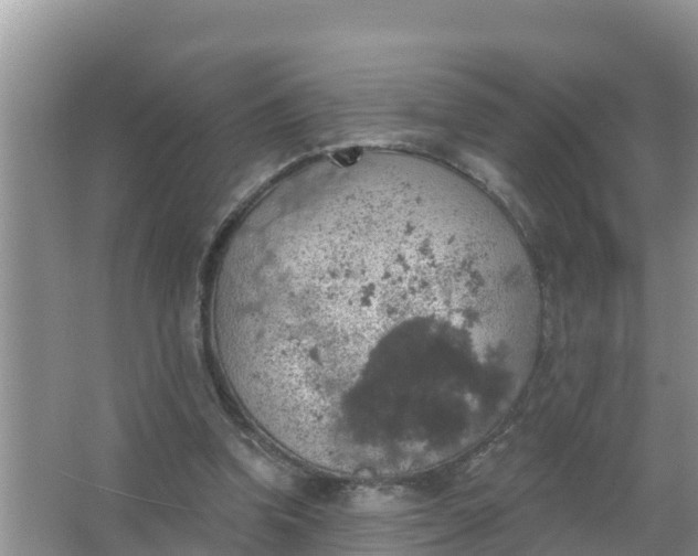 X0000066970346200604072036