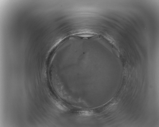 X0000066970347200604072036