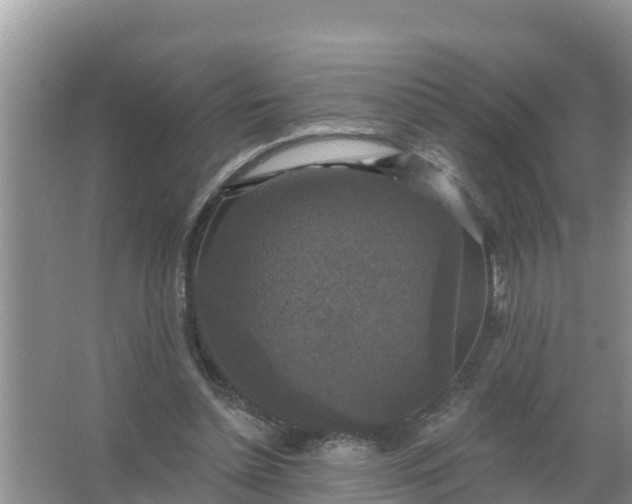 X0000066970348200604072036