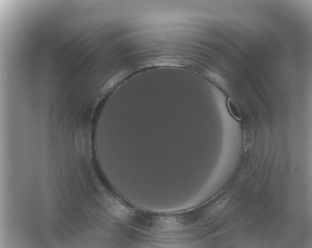 X0000066970349200604072036