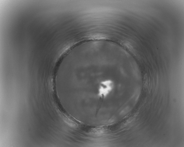 X0000066970351200604072036