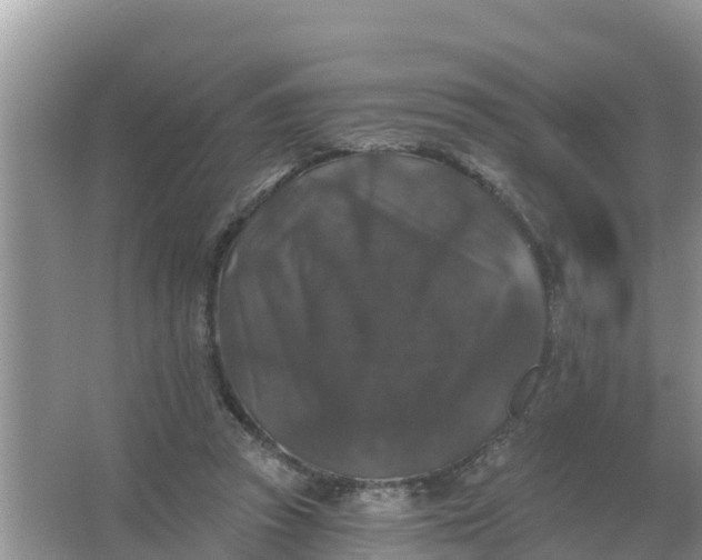 X0000066970353200604072036