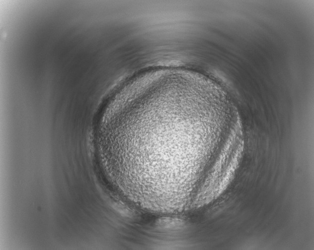 X0000066970354200604072036