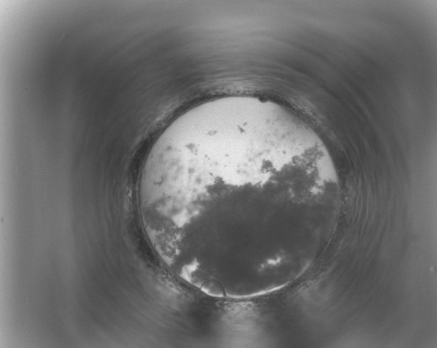 X0000066970355200604072036