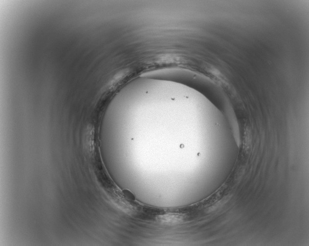 X0000066970356200604072036