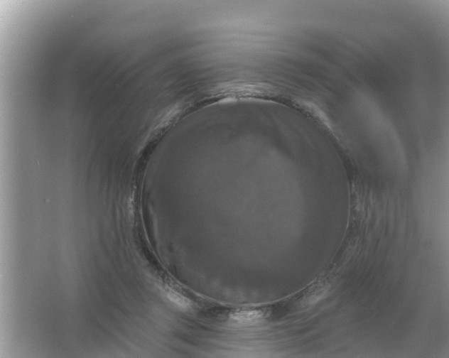 X0000066970357200604072036