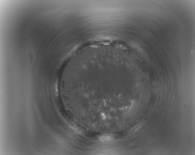 X0000066970358200604072036