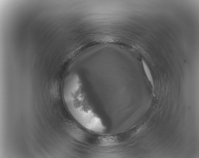 X0000066970359200604072036