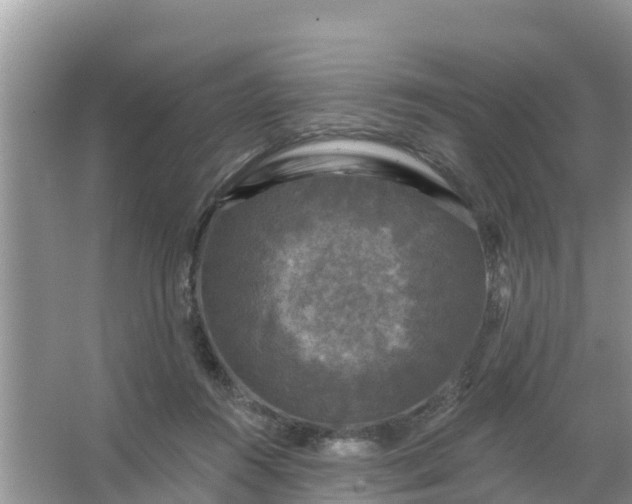 X0000066970360200604072036