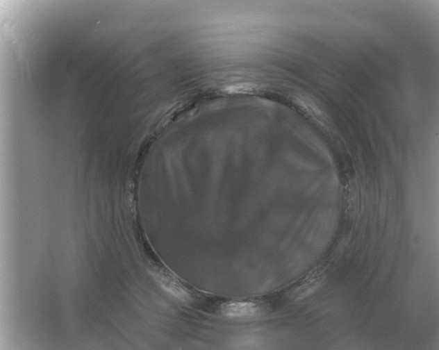 X0000066970361200604072036