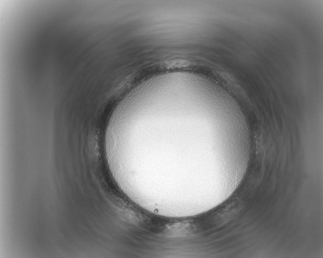 X0000066970362200604072036