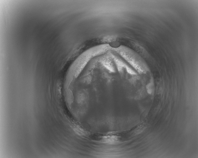 X0000066970363200604072036