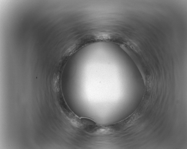 X0000066970364200604072036