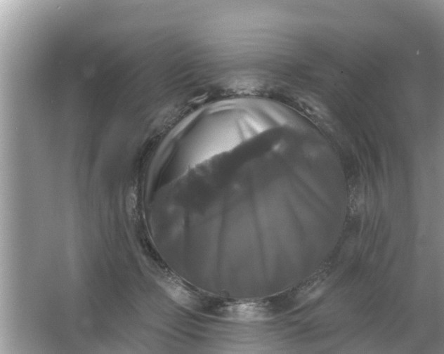 X0000066970365200604072036