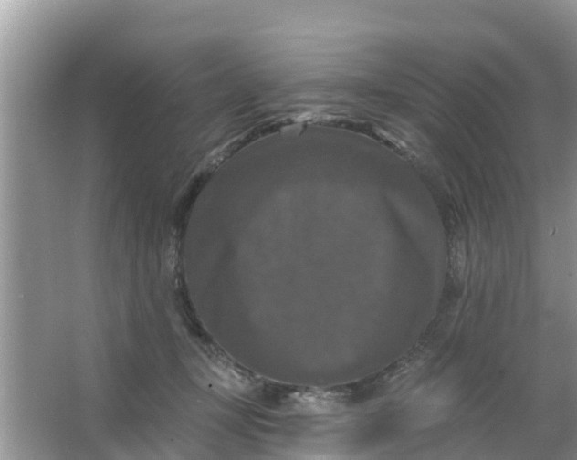 X0000066970367200604072036