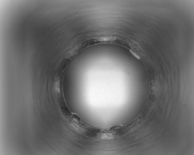 X0000066970368200604072036