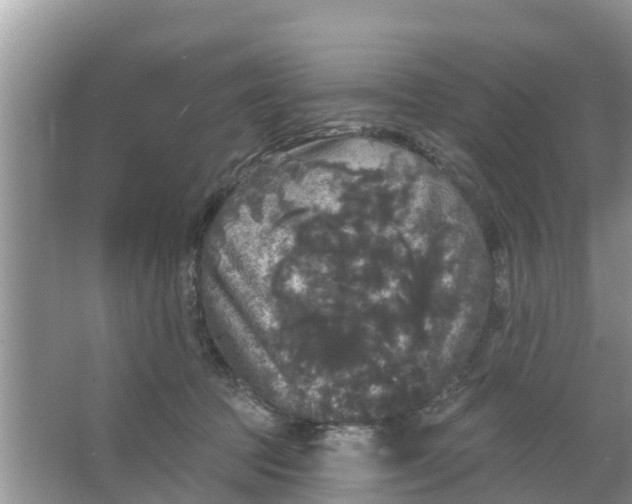 X0000066970369200604072036