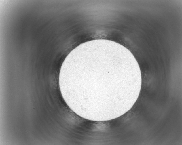 X0000066970370200604072036