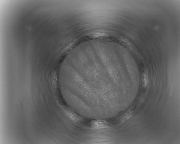 X0000066970372200604072036