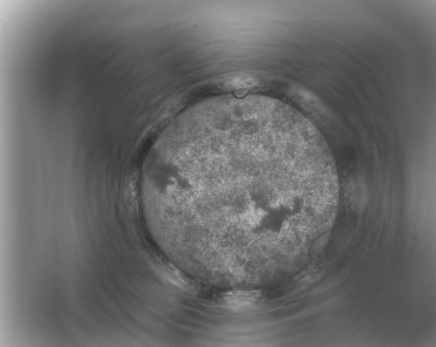 X0000066970373200604072036