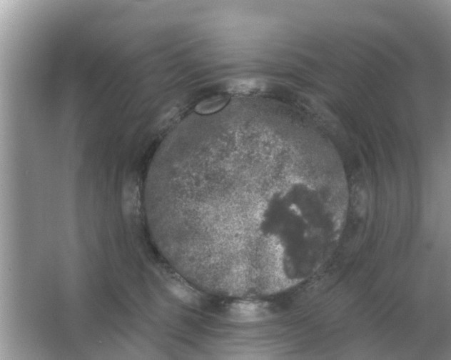 X0000066970375200604072037