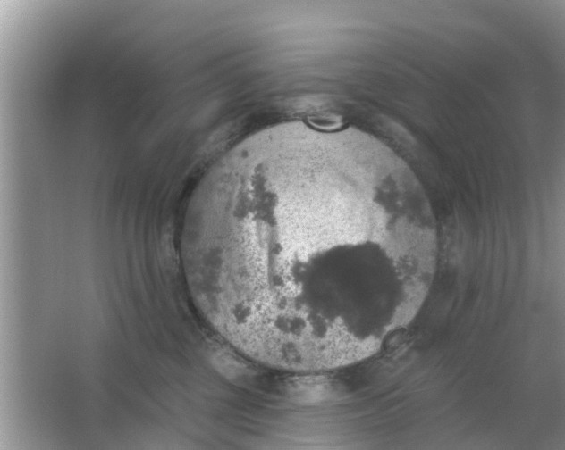 X0000066970377200604072037