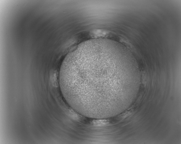 X0000066970378200604072037