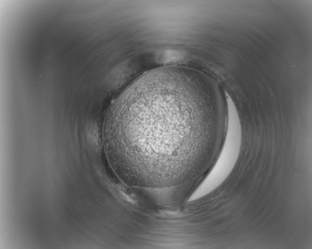 X0000066970380200604072037