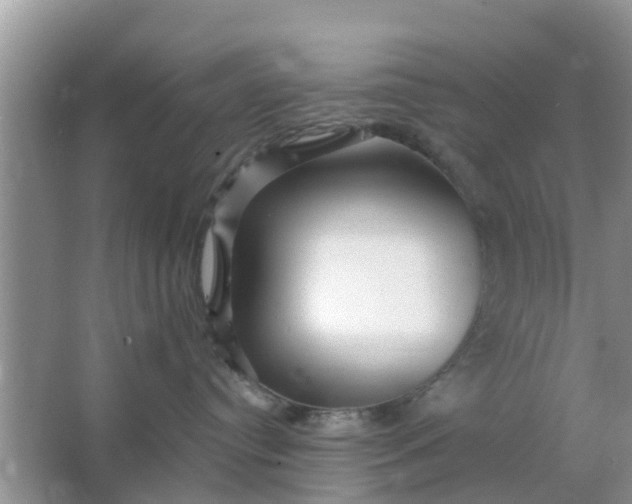 X0000066970384200604072037