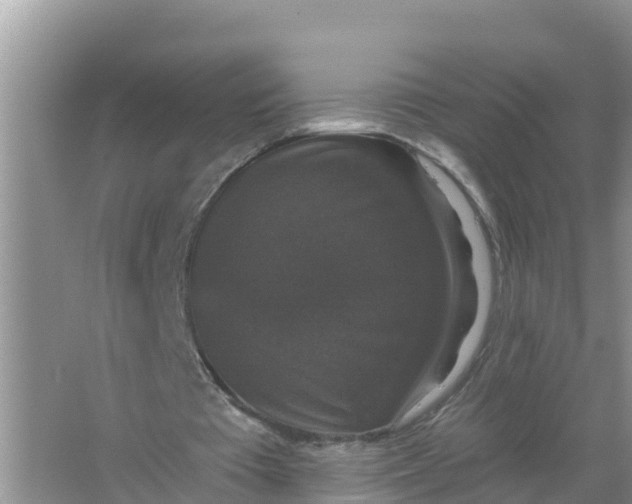 X0000066970385200604072036