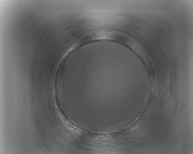 X0000066970386200604072036