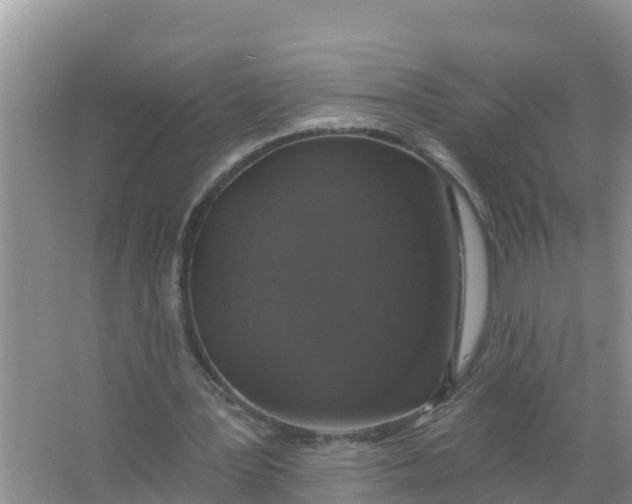 X0000066970387200604072036