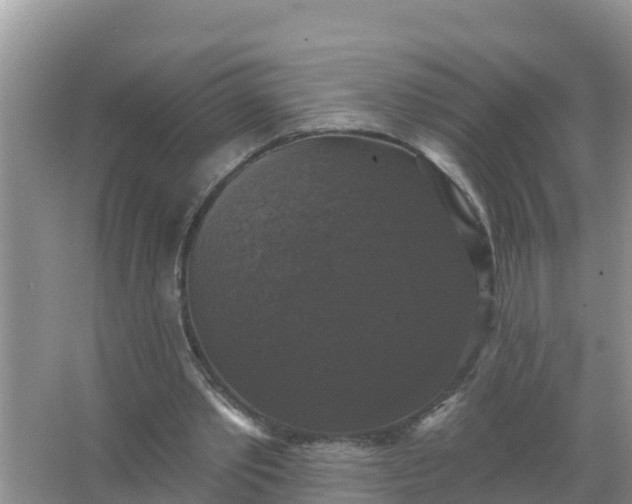 X0000066970389200604072036