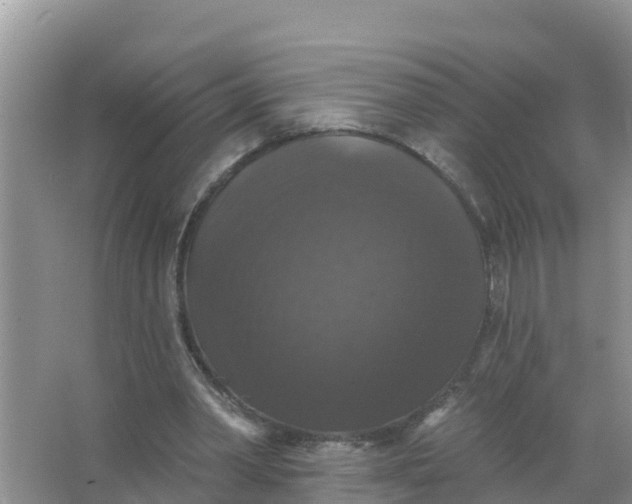 X0000066970390200604072036