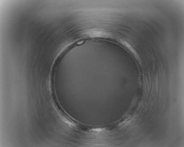 X0000066970391200604072036