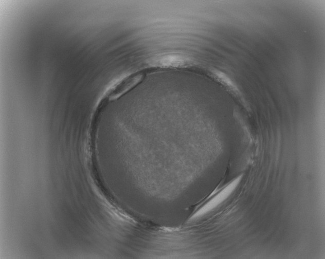 X0000066970392200604072036