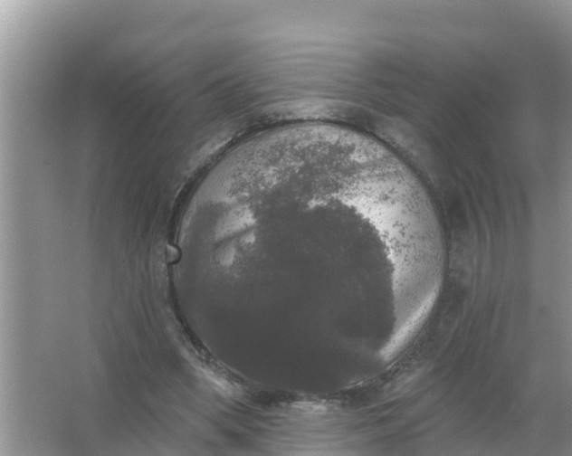 X0000066970394200604072036